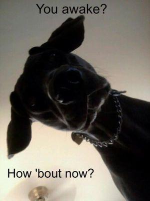 RoyJackman's profile picture. 