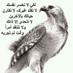 عبودعبود (@ab736771409) Twitter profile photo عبودعبود (@ab736771409) Twitter profile photo