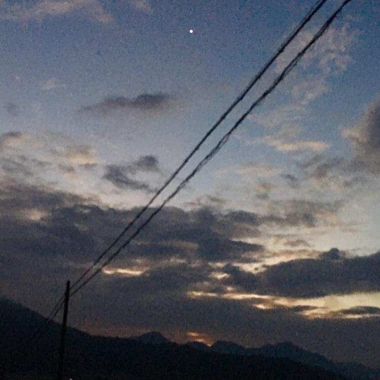 bellmoulin's profile picture. ランニング記録メインです。パンがないと生きていけません。