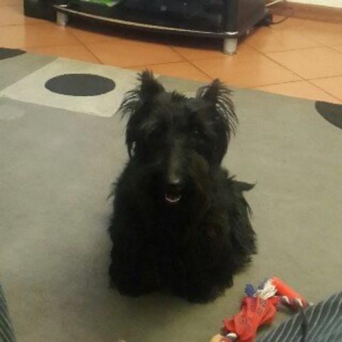 Bradley03220's profile picture. 