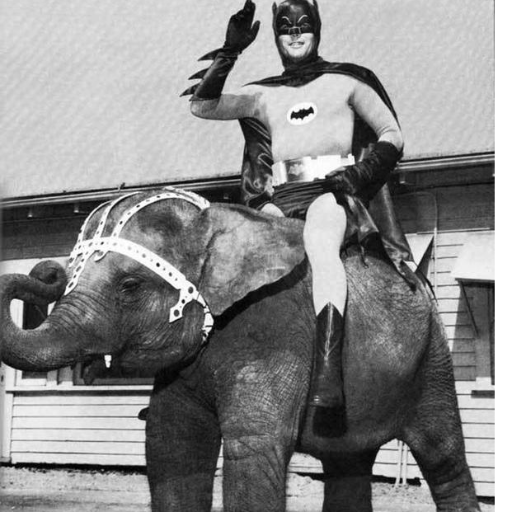 spudulika's profile picture. a young loner on a crusade to champion the cause of the innocent, the helpless, the powerless in a world of software criminals who operate above the law.