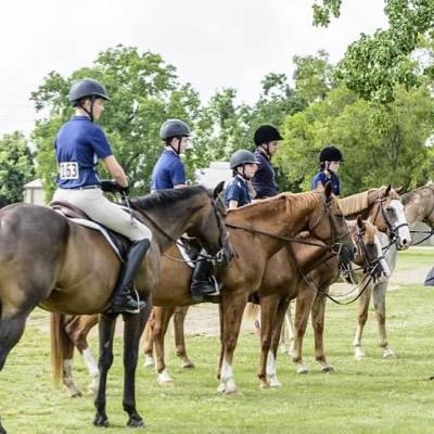 GrandviewFarms5's profile picture. Full service Hunter/Jumper boarding and training facility. We are very family oriented and a great place to call home.