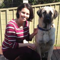 PetJourno (@petjourno) 's Twitter Profile Photo