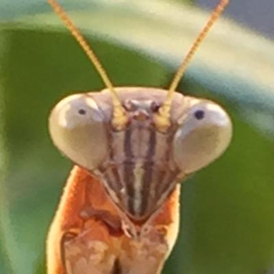 5001938DRK's profile picture. 