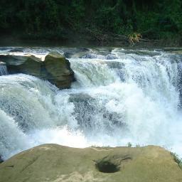 BangladeshDoc's profile picture. 