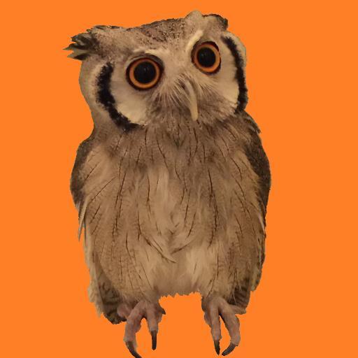 I live at peace with my buddy's owl POPO. Nice to meet you!! Thank you ;-) #owl #music masa.lazy.yamashita@gmail.com https://t.co/geABMlI1Cz