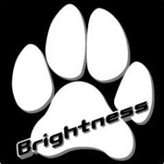 BrightnessRepre Profile Picture