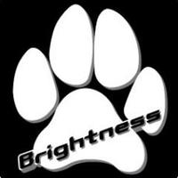 Brightness (@brightnessrepre) 's Twitter Profile
