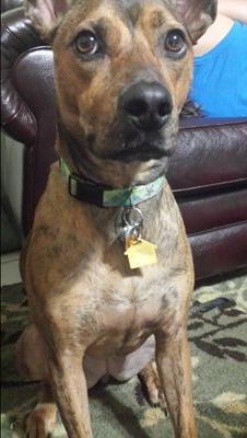 MrHardaway9's profile picture. 