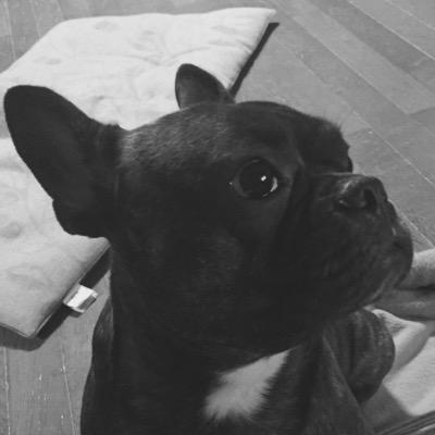 Y7Zdlhk1SuSnfWY's profile picture. 