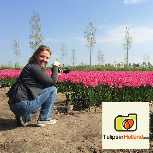 Celebrate the tulip, bulbs, flower fields & festivals around the world. See our website: http://t.co/zAYMACnAfG Tag your photos with #tulipfestival