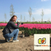 Tulip Festival (@tulip_festival) Twitter profile photo Tulip Festival (@tulip_festival) Twitter profile photo