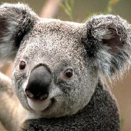 Mixture of Cute, Funny, and Beautiful tweets! 3