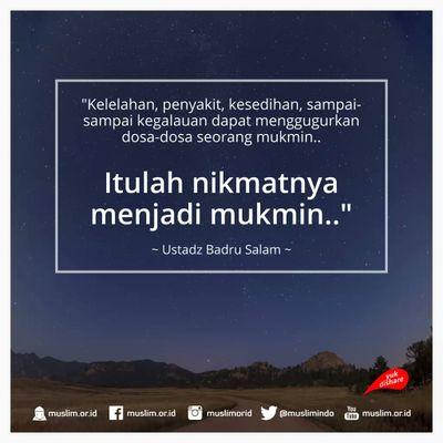 9ae3239c679d4bd's profile picture. 