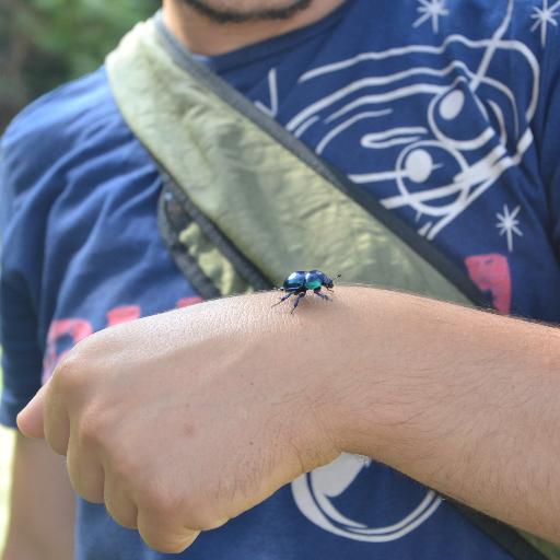 kadilli88's profile picture. Field Biologist