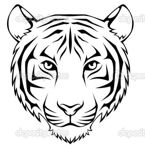 angieswimgym's profile picture. 