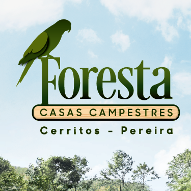 Forestacerritos's profile picture. 