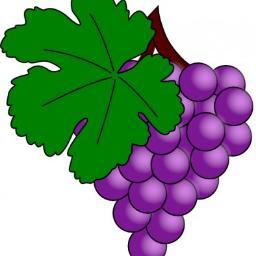 GRAIPWINES