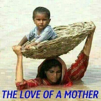 ahmedilkacase4's profile picture. 