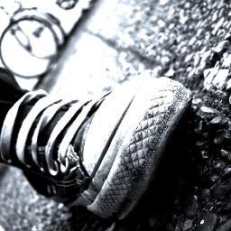 Reviews on Powerlifting Shoes and Other Powerlifting Necessities!