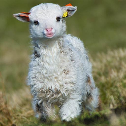 EndoCamahlahahe's profile picture. 