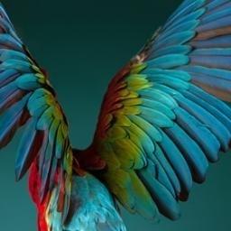 VerifyZtest's profile picture. Test account