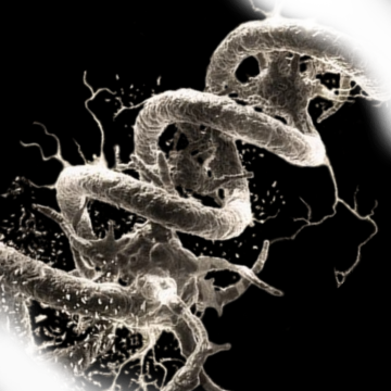 WearyPen's profile picture. Kissing walls at speeds generally undesirable.