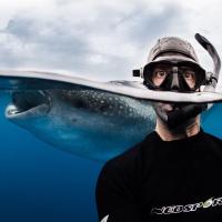 Shawn Heinrichs (@shawnheinrichs) 's Twitter Profile