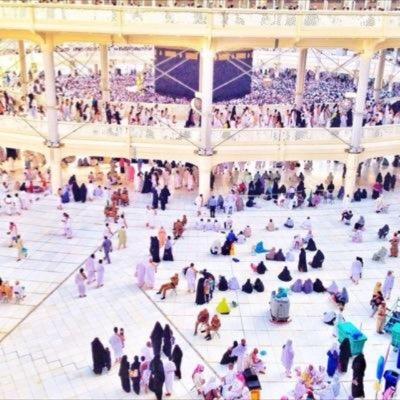 googleksa11's profile picture. 