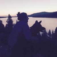 Quinn (@qwpeace) 's Twitter Profile