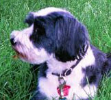 DianeWhiteside's profile picture. 