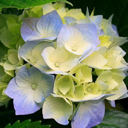 sanjanachirchi1's profile picture. student