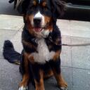 Anna Damiani - @AnnaDamiani - Twitter