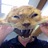 AirTay's profile image