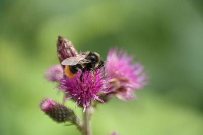 salem_mojaren's profile picture. 