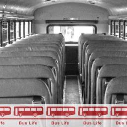 buslifeblog's profile picture. Educate yourself. Inform the world.