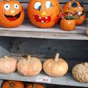 Teresa coco - @CocoTeresa1981 - Twitter