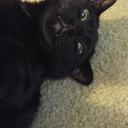 Natalie Boyer - @weusedtolookup - Twitter