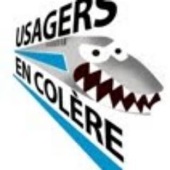 UsagerIDF's profile picture. Actus pour tous les usagers d'Ile-de-France (compte non officiel)                                           #infos #transports #politique #culture