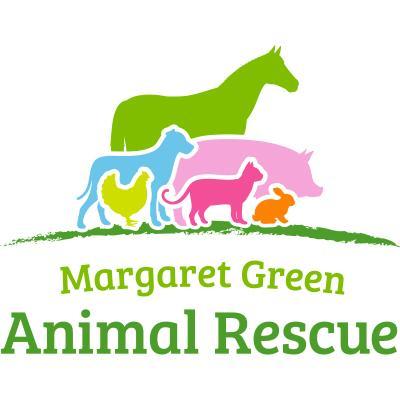 Margaret Green Animal Rescue - Reg charity no. 1167990. Celebrating over 55 years of caring for rescued animals in the UK.  • Rescue • Care • Rehome • Support •