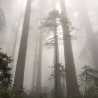 john temple (@jtemplejrnalist) 's Twitter Profile