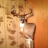 don fleming (@don_hooter) 's Twitter Profile Photo don fleming (@don_hooter) 's Twitter Profile Photo