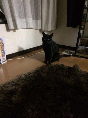 なゆたさんのプロフィール画像
