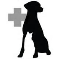 Westford Veterinary Emergency & Referral Center(@WVERC) 's Twitter Profile Photo