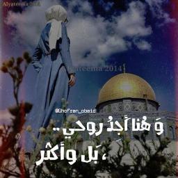 maysam_jafar's profile picture. 