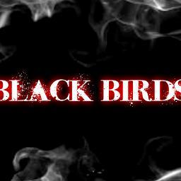 blackbirdsx6's profile picture. 