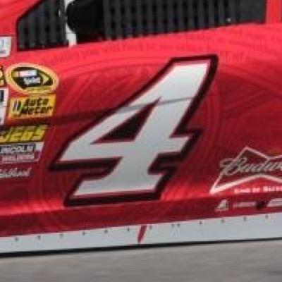 racefankev's profile picture. Big fan of wrestling and racing.