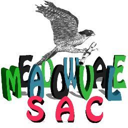 Meadowvale Student Activity Council! We REPRESENT & PUBLICIZE your upcoming events and special occasions!  Questions? mdvsac@gmail.com OR use the SAC Q&A Box