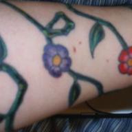 ardore2's profile picture. FOLLOW ME, I WILL FOLLOW YOU BACK!