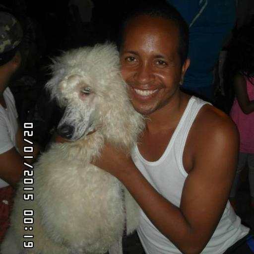 AlexmulekJesus's profile picture. 04144227056